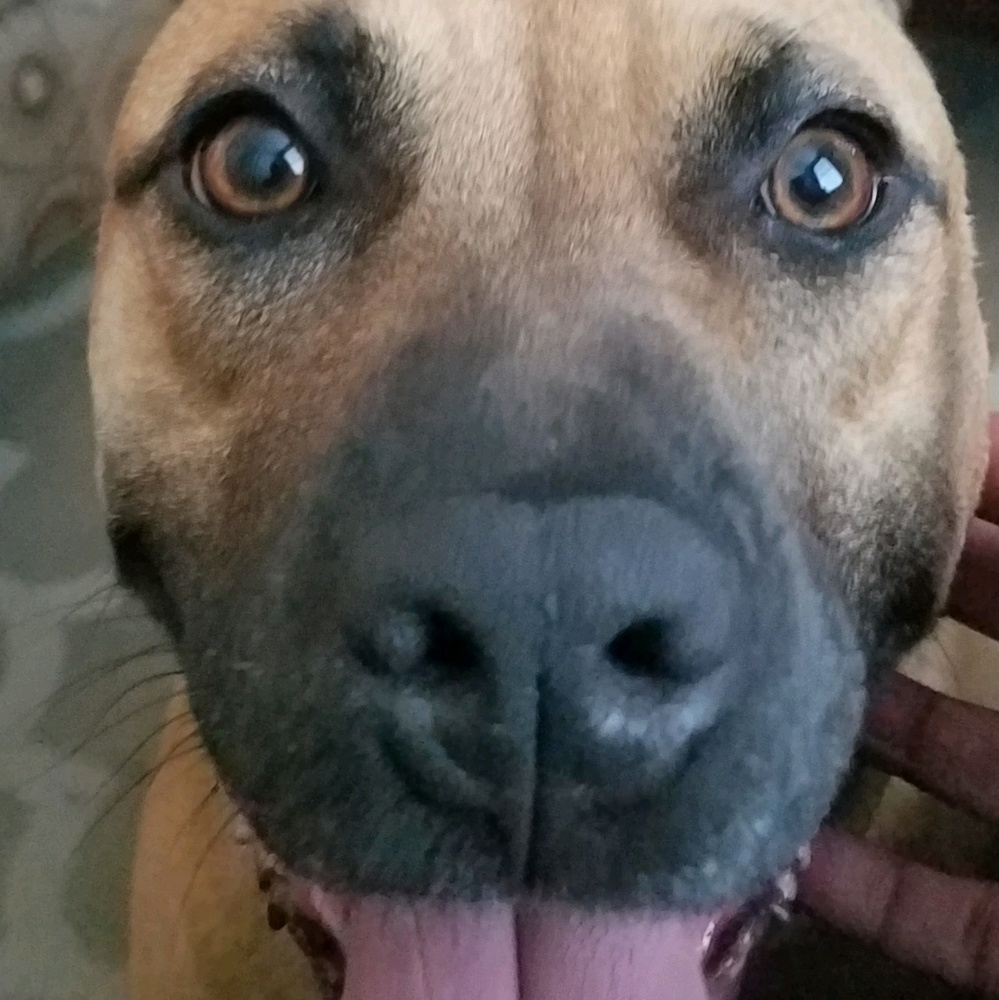 Meet your Posher, Tanya